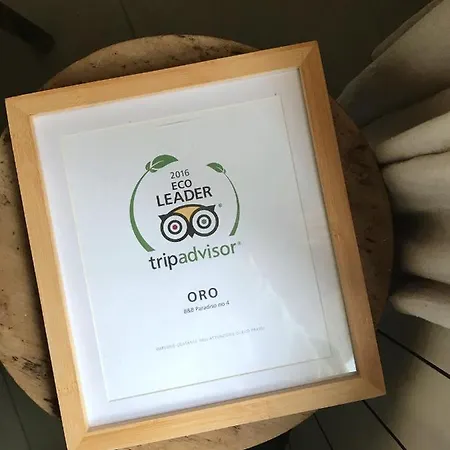 Paradiso N.4 Oda ve Kahvaltı