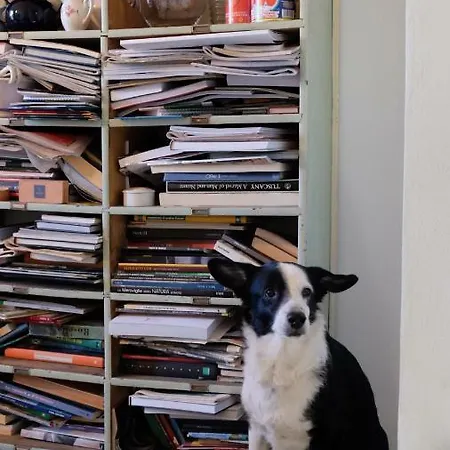 Oda ve Kahvaltı Paradiso N.4 3*